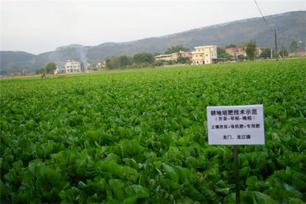 圖片說(shuō)明