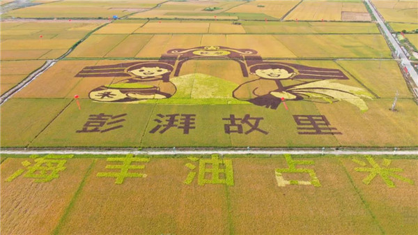 圖片說(shuō)明