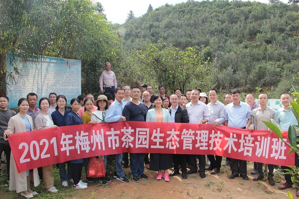 茶葉所專家赴梅州開展茶園生態(tài)管理技術(shù)培訓(xùn)01 - 副本.jpg