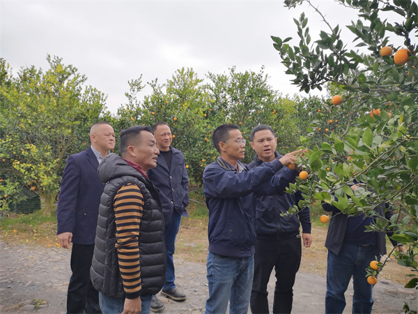 植保所專家赴韶關(guān)市開展科技幫扶活動-2.jpg