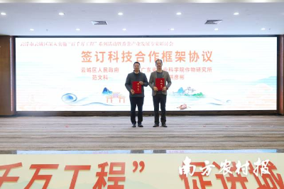 云浮市云城區(qū)人民政府、廣東省農(nóng)業(yè)科學(xué)院作物研究所簽訂云城區(qū)番薯產(chǎn)業(yè)高質(zhì)量發(fā)展科技支撐框架協(xié)議 